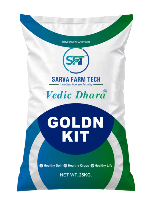 Vedic Dhara GOLDN KIT